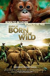 Born To Be Wild IMAX Poster